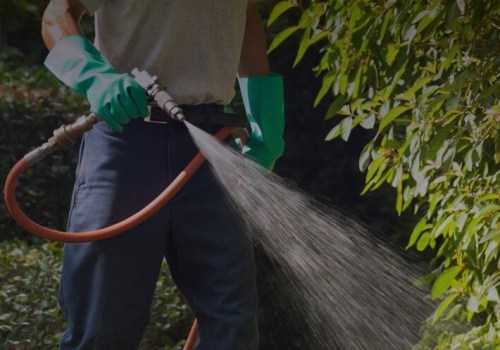 Rodent Control Services In Fayetteville, GA: A Must-Do Before Any Fix And Flip